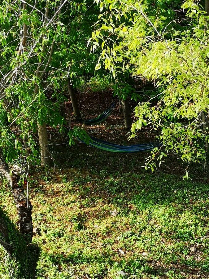 Вилла Agriturismo Il Noceto Ассизи Экстерьер фото