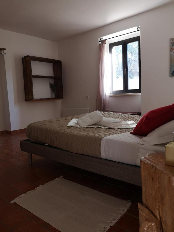 Вилла Agriturismo Il Noceto Ассизи Экстерьер фото